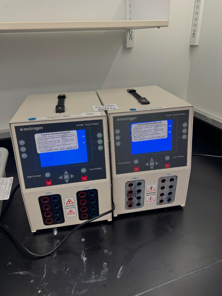 Image of Invitrogen Zoom Dual Power Electrophoresis Power Supply - Quantity 2